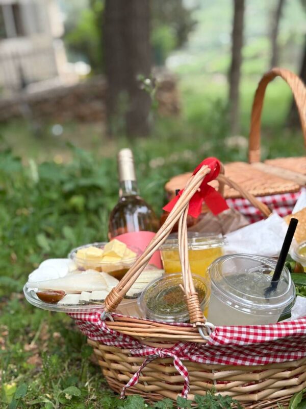 Clasic Picnic Basket